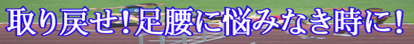 C\[̓I[_[Ch̍dグ