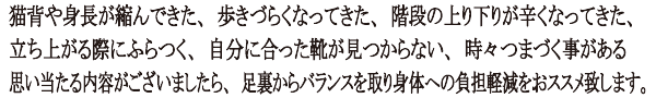 hN^[C\[AɂP͎̂p𐳂̂ǂB