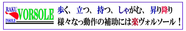 dɂ߂̃I[_[ChC\[